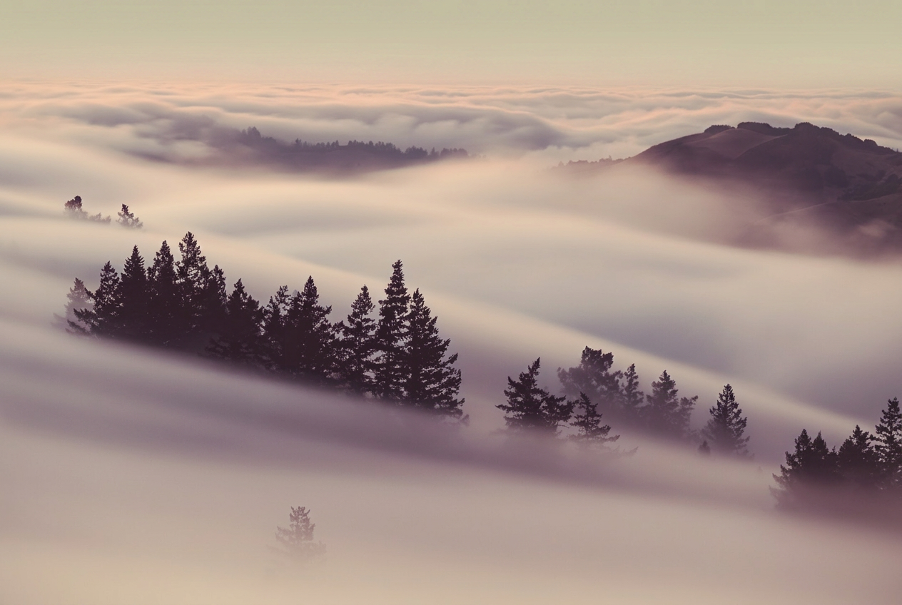 Soft fog drifting over forested ridges at dusk with a pink-blush sky